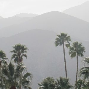 Meet your Posher, Daphne